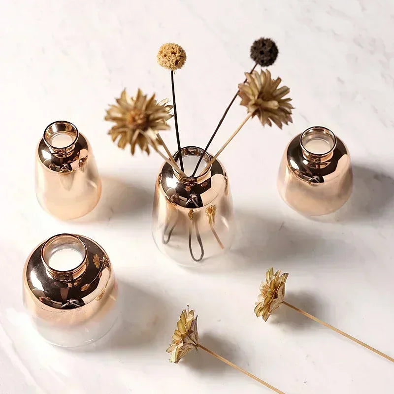 AuraTone Gradient Vase | Exquisite Farbverläufe | Elegante Dekoration für Zuhause