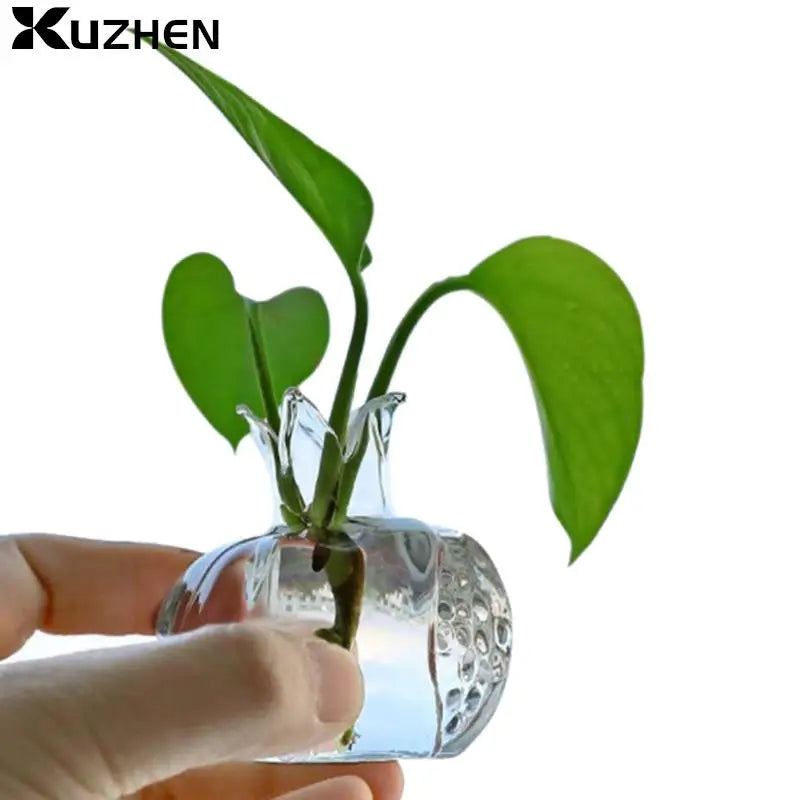 PomeGlass Granatapfel Glasvase | Wohnkultur | Kreative Obstvase | Raumdeko | Blumenvase für Zuhause