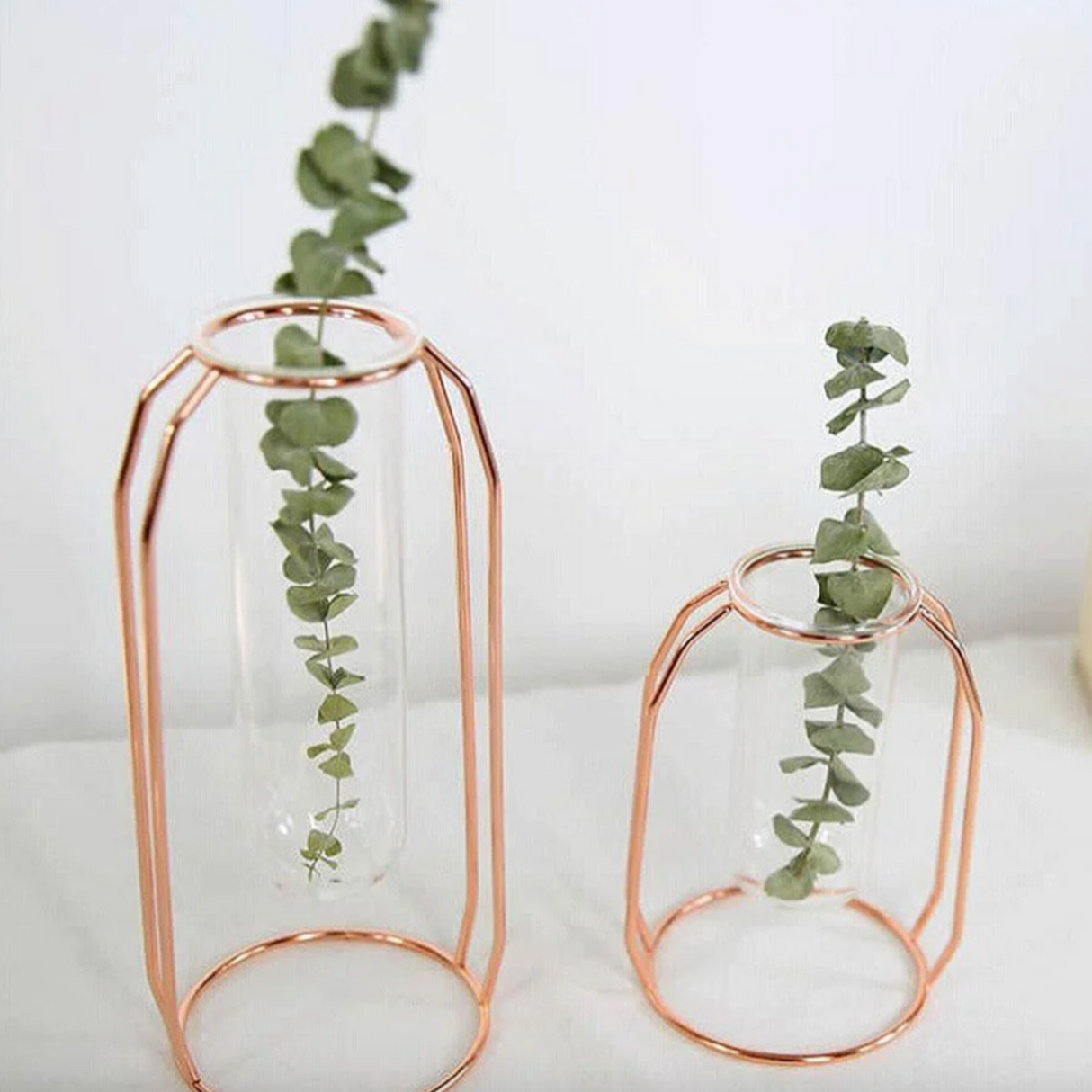 FloraHaven Propagation Vase | Nordic Design Blumenhalter | Glas Test Tube Pflanzgefäß | Deko für Zuhause