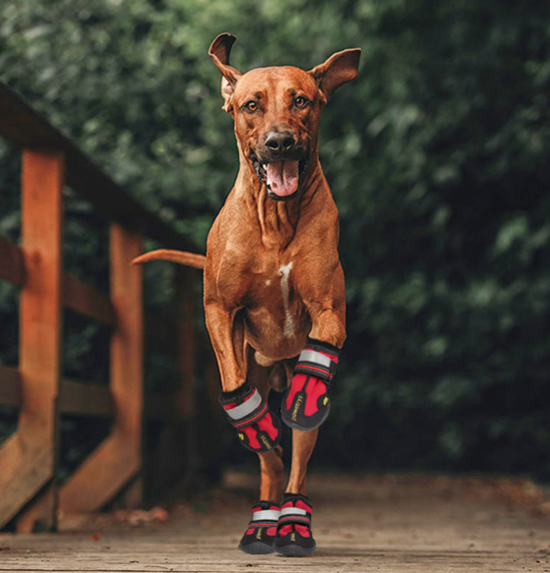 PawGrip Rutschfeste Hundestiefel | Schutz für Hundepfoten | Wasserdicht & Bequem