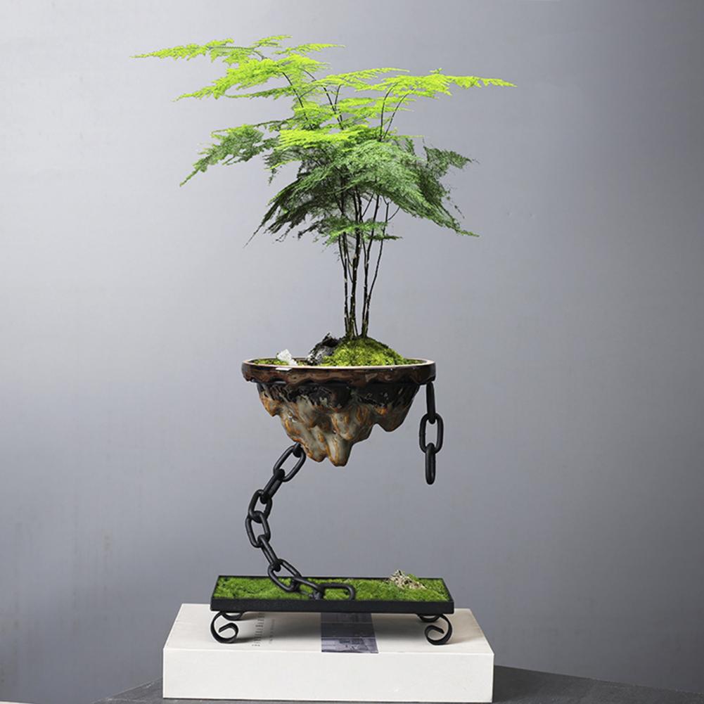 Zenovia Hänge-Bonsai-Pflanzgefäß mit Kettenaufhängung | Minimalistisches Design | Indoor & Outdoor