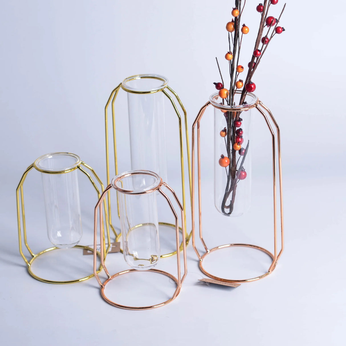 FloraHaven Propagation Vase | Nordic Design Blumenhalter | Glas Test Tube Pflanzgefäß | Deko für Zuhause