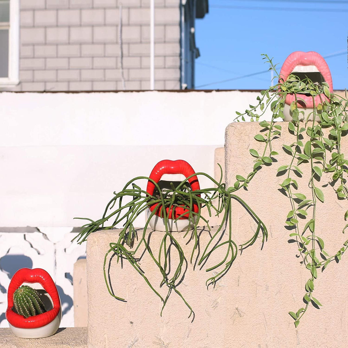 KissBloom Lippen-Keramik Blumentopf | Einzigartiges Design | Für Pflanzen & Deko | In Rot, Rosa & Lila