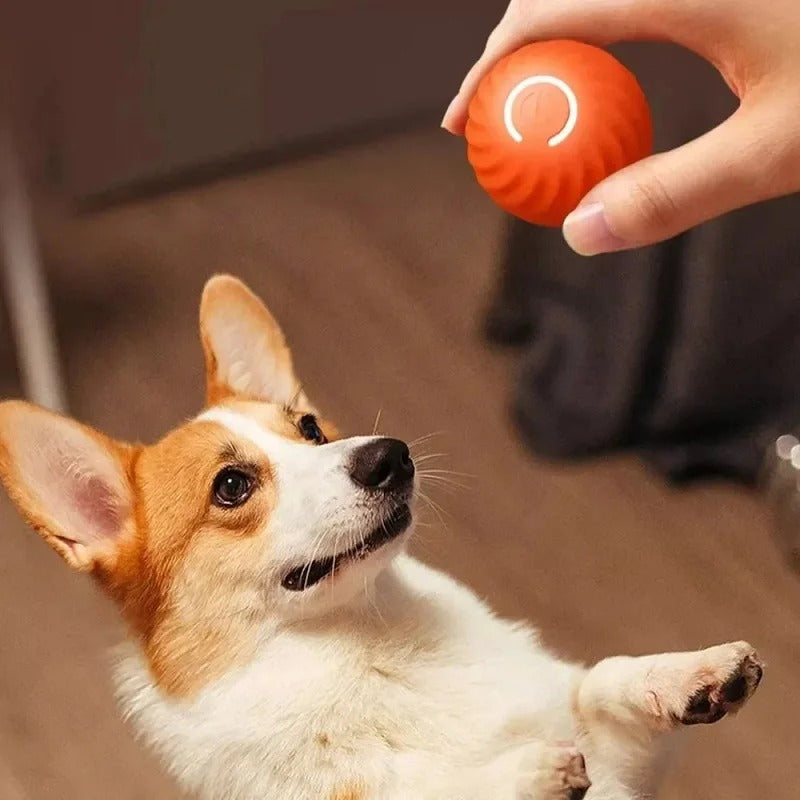 PlayBuddy Interaktiver Hundeball | Selbstbewegend & Robustes Design | Für Spielspaß und Bewegung