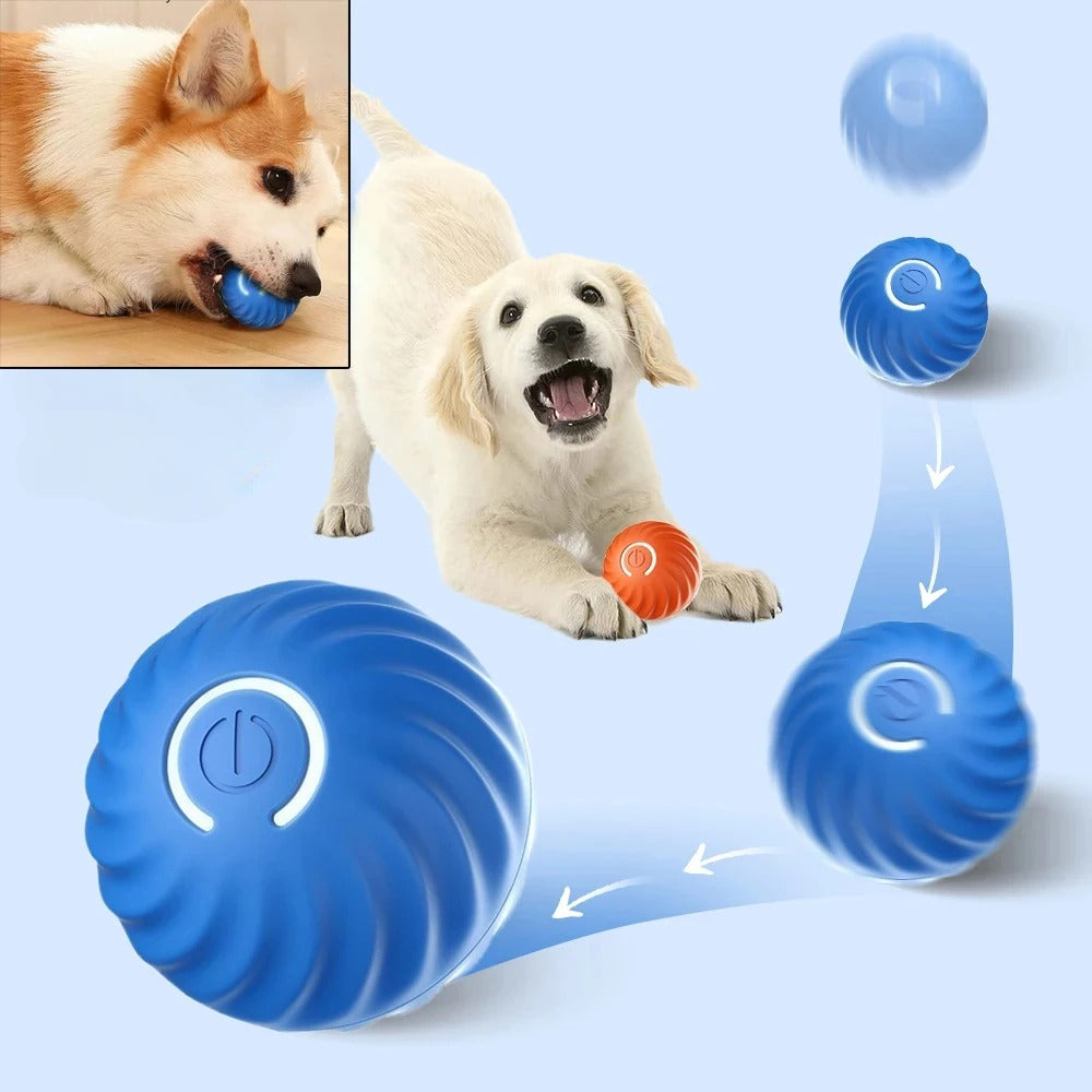 PlayBuddy Interaktiver Hundeball | Selbstbewegend & Robustes Design | Für Spielspaß und Bewegung