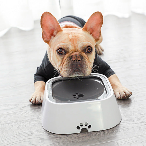 HydraPaw Anti-Splash Wassernapf für Hunde | Auslaufsicher | Rutschfest | Für Zuhause & Unterwegs