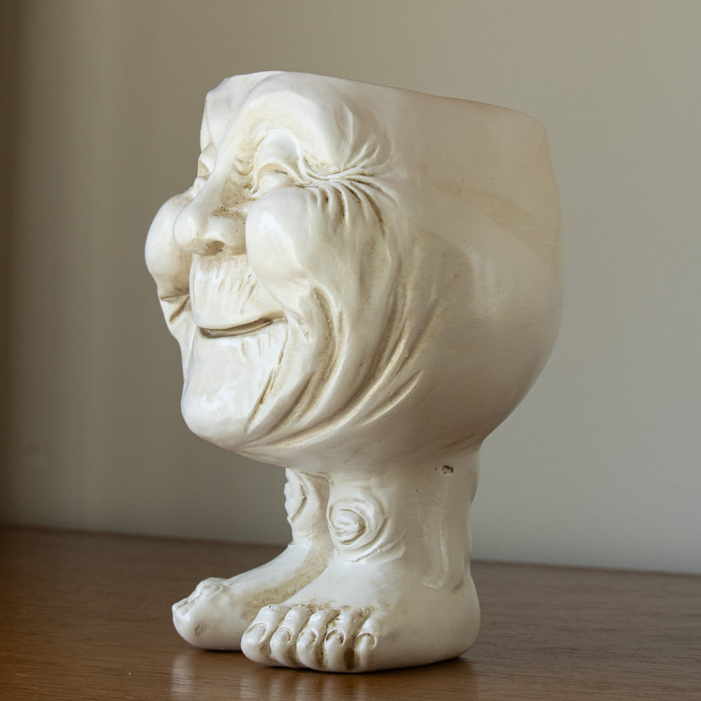 FunnyFace Charakter Pflanzentöpfe | Lustige Blumentöpfe mit Persönlichkeit | Indoor & Outdoor Deko