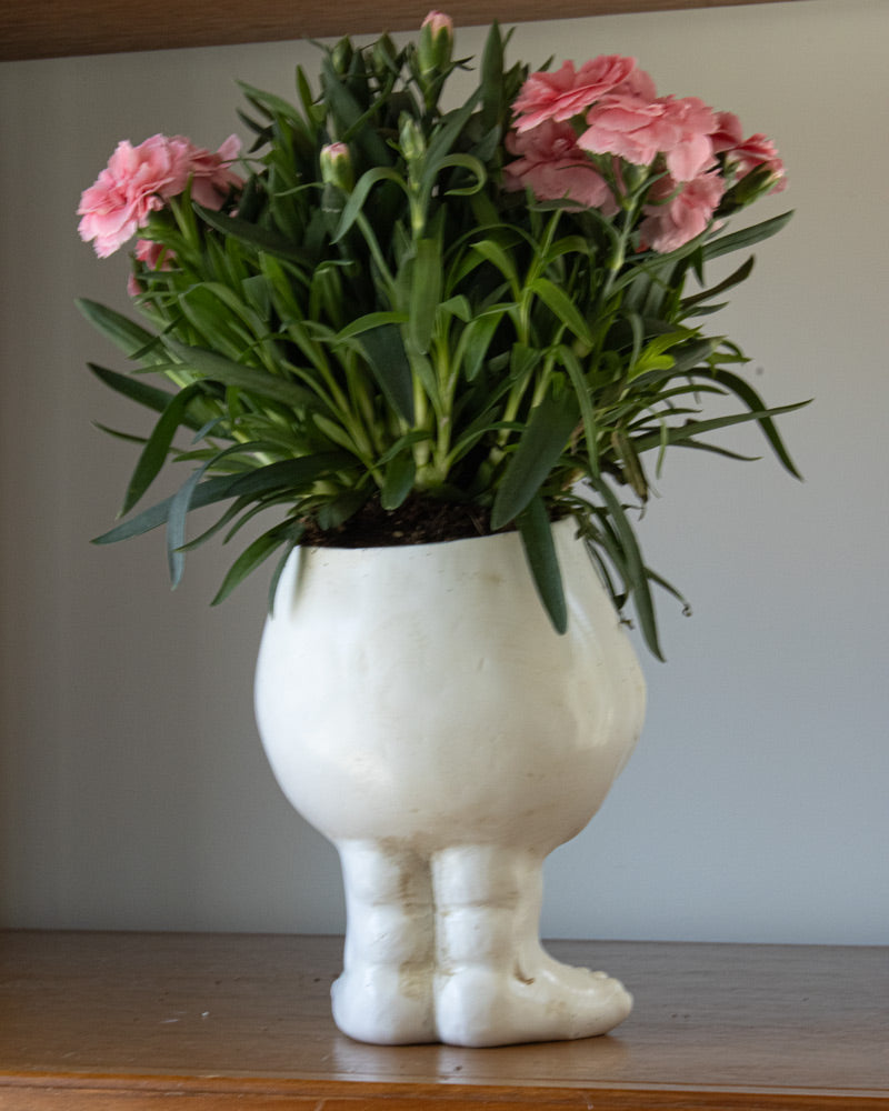 FunnyFace Charakter Pflanzentöpfe | Lustige Blumentöpfe mit Persönlichkeit | Indoor & Outdoor Deko