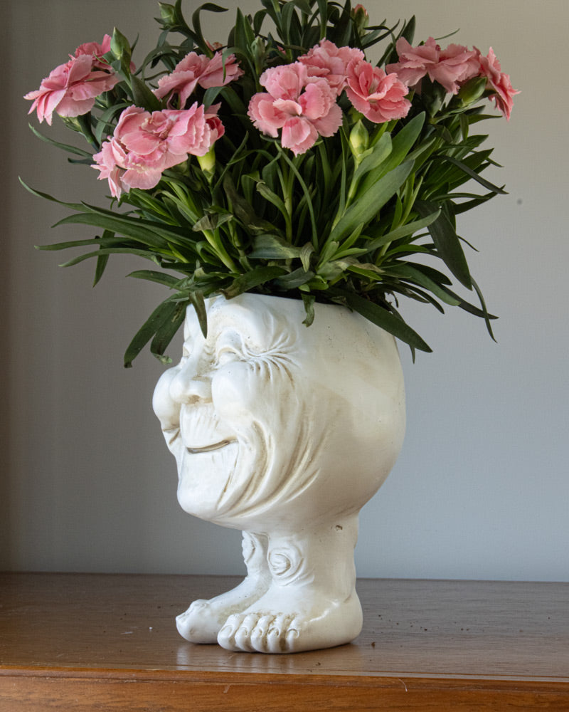 FunnyFace Charakter Pflanzentöpfe | Lustige Blumentöpfe mit Persönlichkeit | Indoor & Outdoor Deko