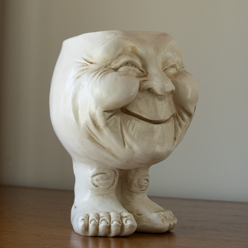 FunnyFace Charakter Pflanzentöpfe | Lustige Blumentöpfe mit Persönlichkeit | Indoor & Outdoor Deko