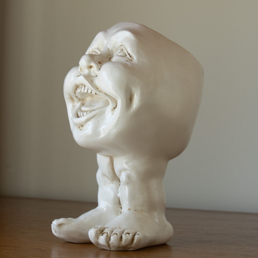 FunnyFace Charakter Pflanzentöpfe | Lustige Blumentöpfe mit Persönlichkeit | Indoor & Outdoor Deko