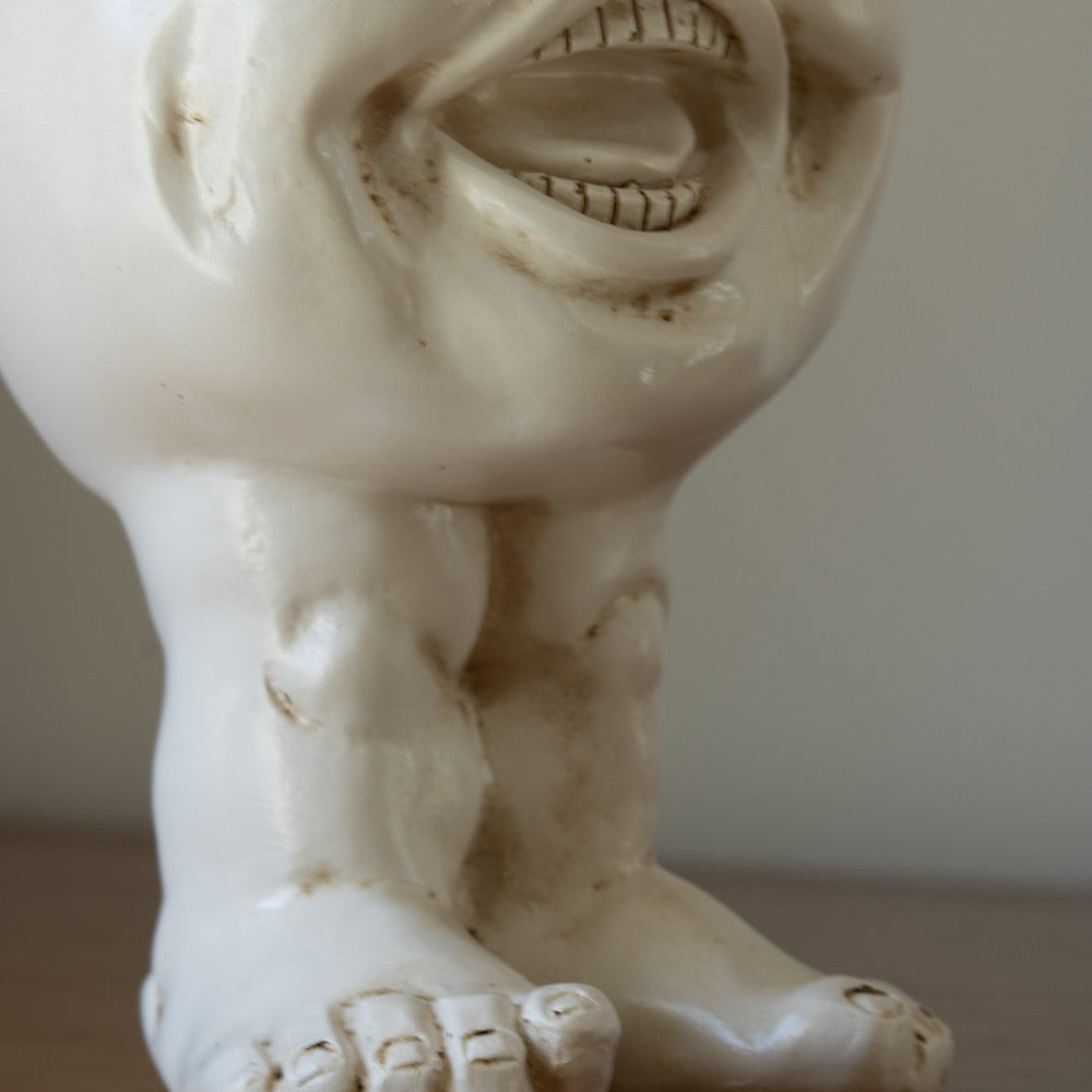 FunnyFace Charakter Pflanzentöpfe | Lustige Blumentöpfe mit Persönlichkeit | Indoor & Outdoor Deko