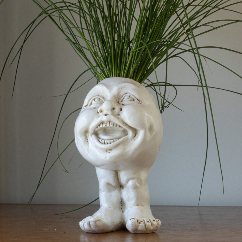 FunnyFace Charakter Pflanzentöpfe | Lustige Blumentöpfe mit Persönlichkeit | Indoor & Outdoor Deko