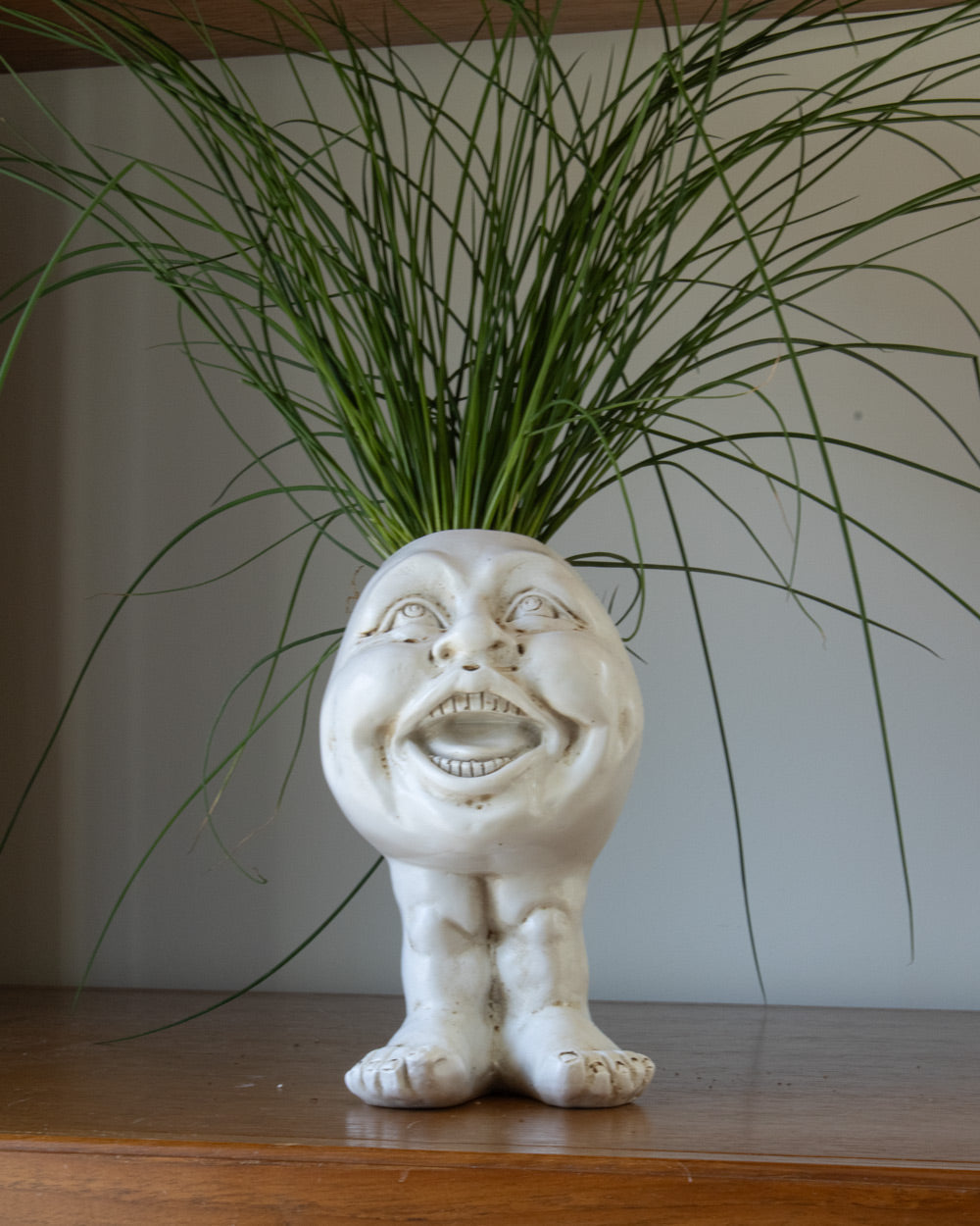 FunnyFace Charakter Pflanzentöpfe | Lustige Blumentöpfe mit Persönlichkeit | Indoor & Outdoor Deko