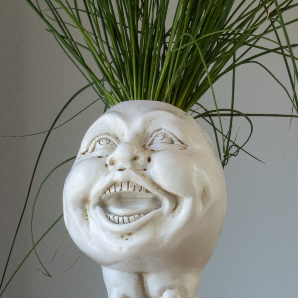 FunnyFace Charakter Pflanzentöpfe | Lustige Blumentöpfe mit Persönlichkeit | Indoor & Outdoor Deko