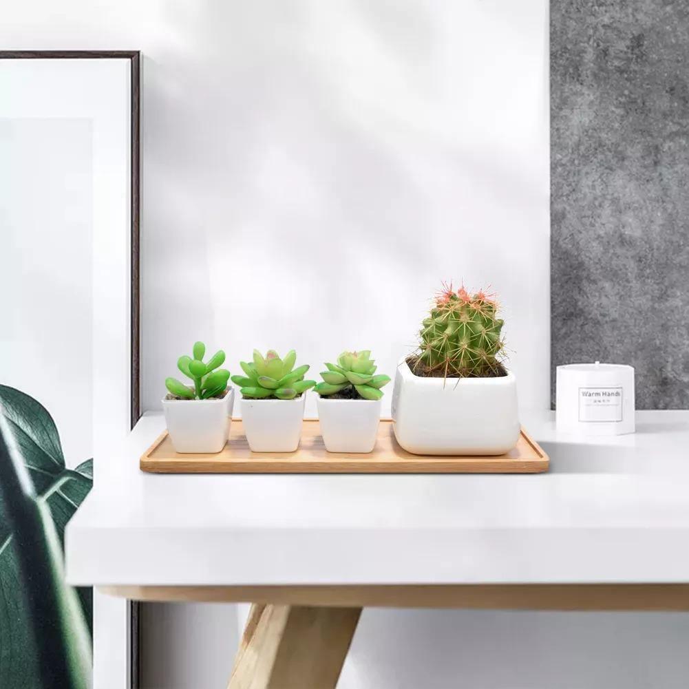 EcoTray Bambus Untersetzer für Blumentöpfe | Natürliche Pflanzenunterlagen in Verschiedenen Formen & Größen