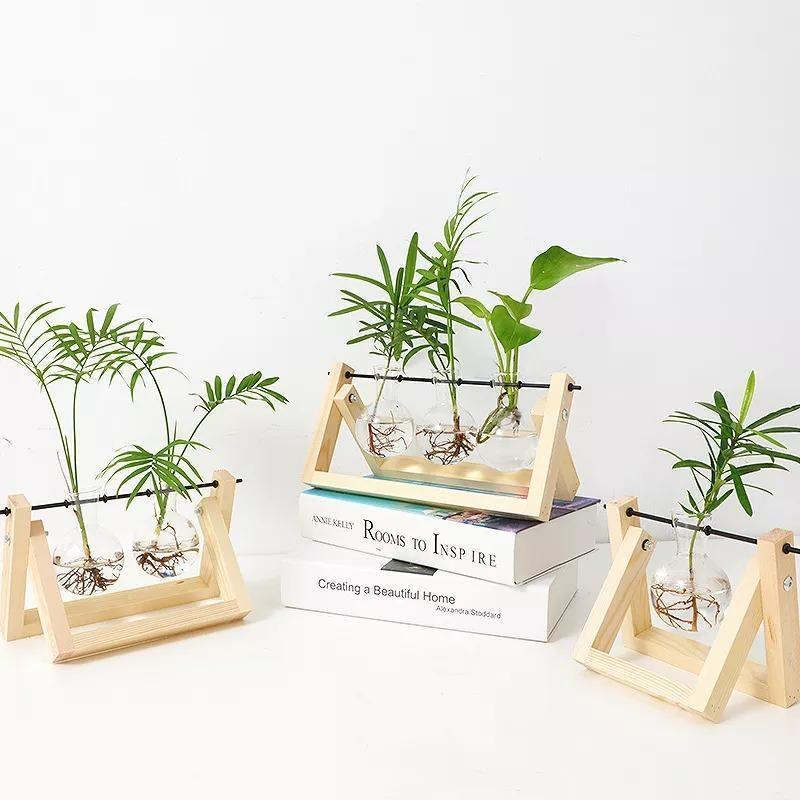 EcoGrow Glas Anzuchtvase mit Holzständer | Minimalistisches Design | Pflanzgefäß für Zuhause | Deko für Pflanzenliebhaber