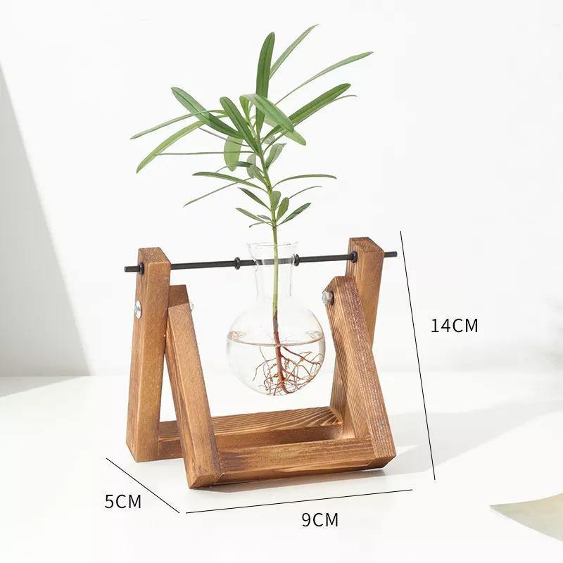 EcoGrow Glas Anzuchtvase mit Holzständer | Minimalistisches Design | Pflanzgefäß für Zuhause | Deko für Pflanzenliebhaber