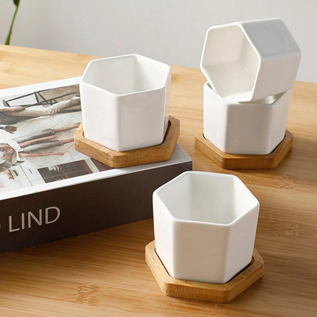 HexaBloom Keramik Pflanzengefäß | Mit Bambus-Untersetzer | Modernes Design für Sukkulenten