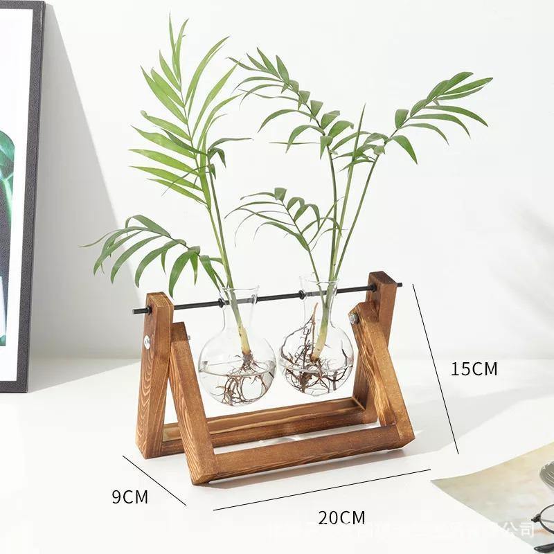 EcoGrow Glas Anzuchtvase mit Holzständer | Minimalistisches Design | Pflanzgefäß für Zuhause | Deko für Pflanzenliebhaber