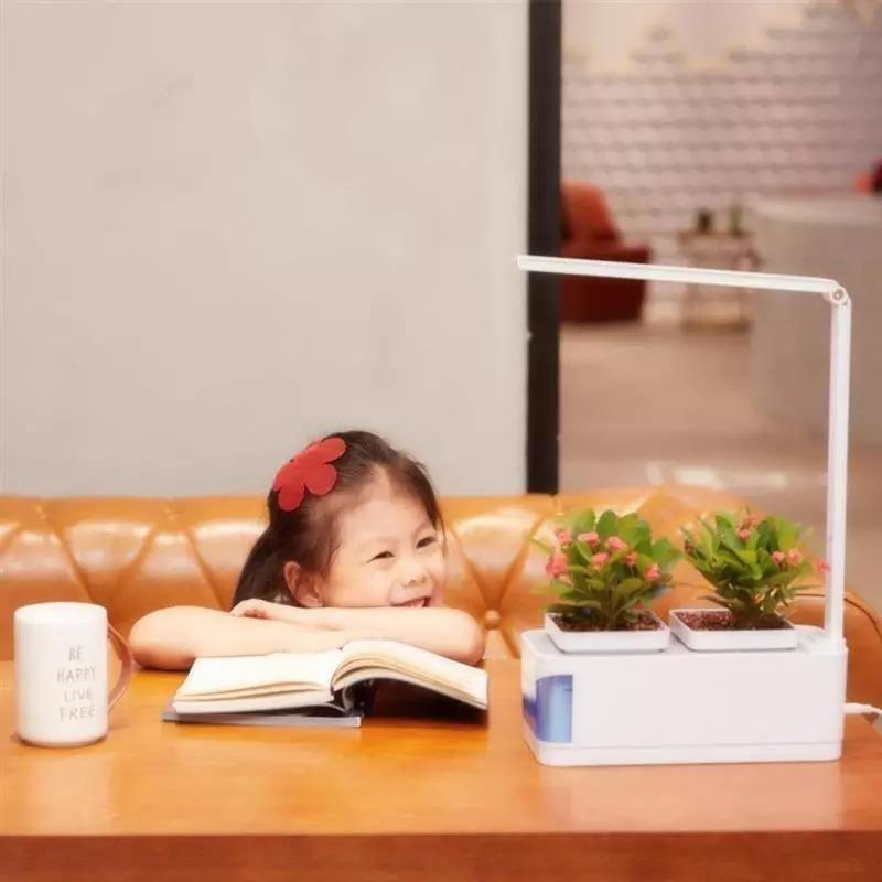 HerbGarden Hydroponisches LED-Kräuterbeet | Frische Kräuter das ganze Jahr über | Platzsparend | Einfache Bedienung