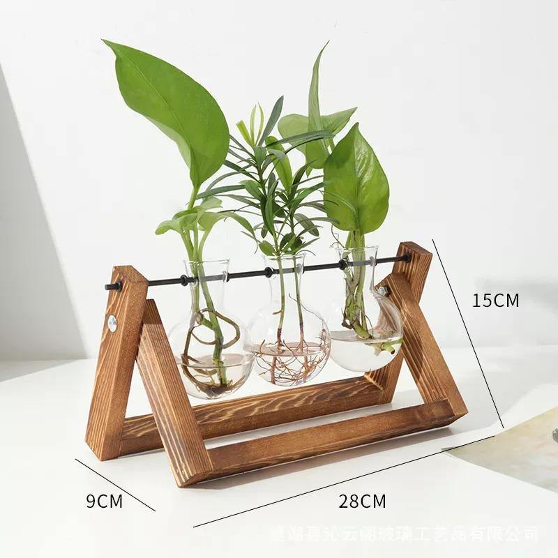 EcoGrow Glas Anzuchtvase mit Holzständer | Minimalistisches Design | Pflanzgefäß für Zuhause | Deko für Pflanzenliebhaber