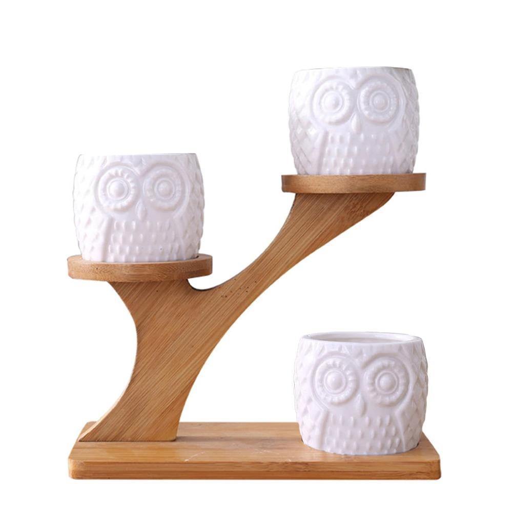 OwlNest Keramik Eulen Sukkulenten Pflanzgefäße mit Bambusregal | Mehrstufig | Dekorative Pflanzenaufbewahrung