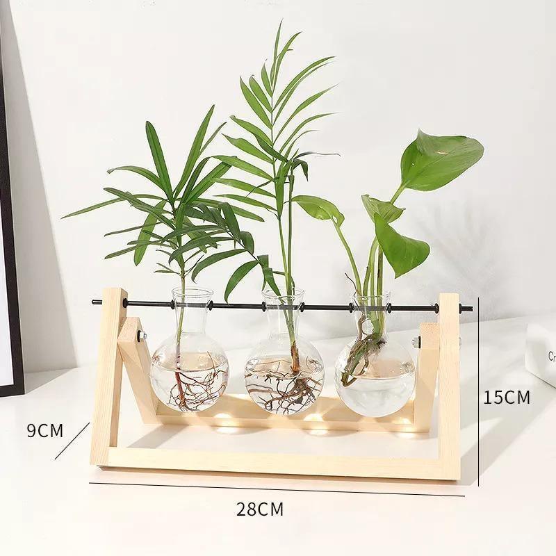 EcoGrow Glas Anzuchtvase mit Holzständer | Minimalistisches Design | Pflanzgefäß für Zuhause | Deko für Pflanzenliebhaber