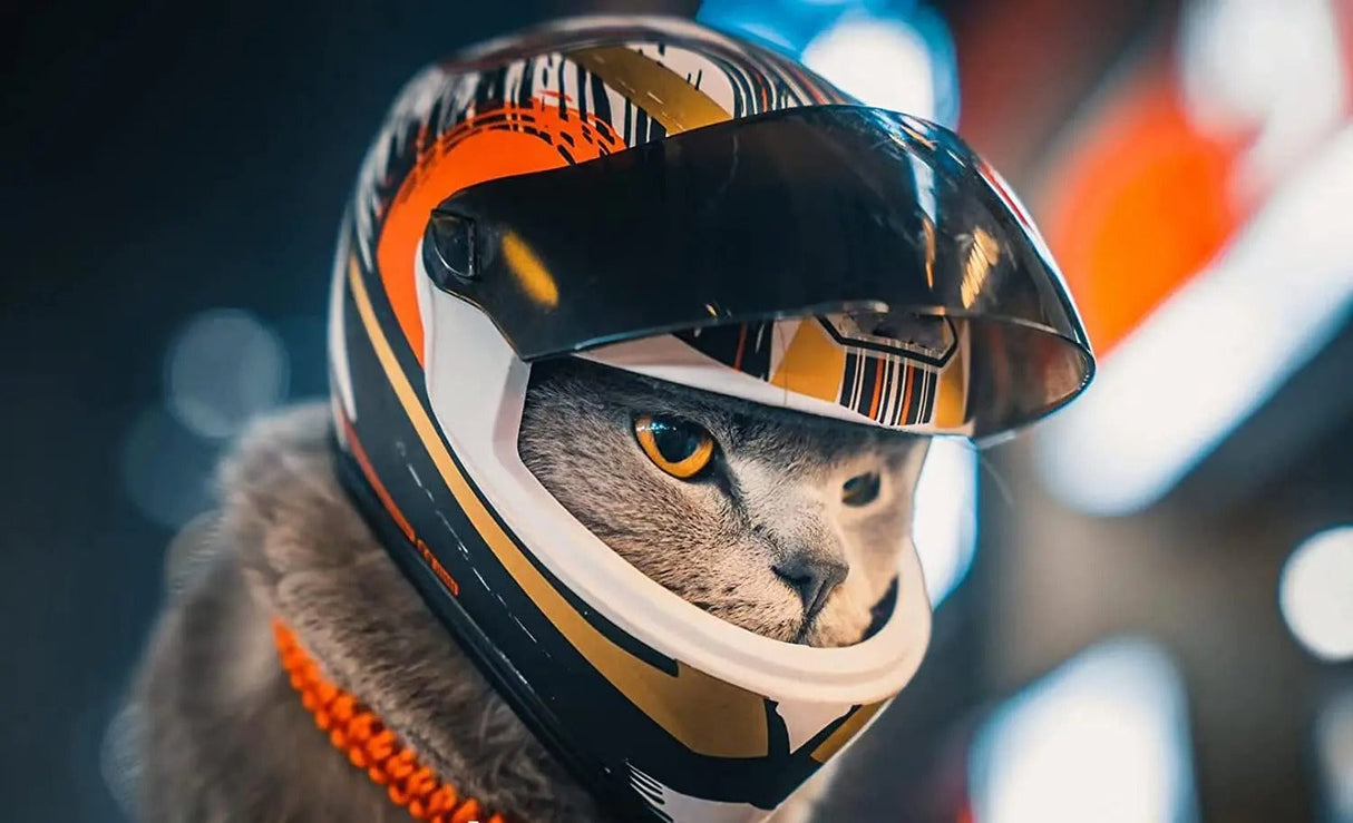PetShield Motorradhelm für Haustiere | Sicherheit & Stil | Leicht & Robust | Für Hunde & Katzen