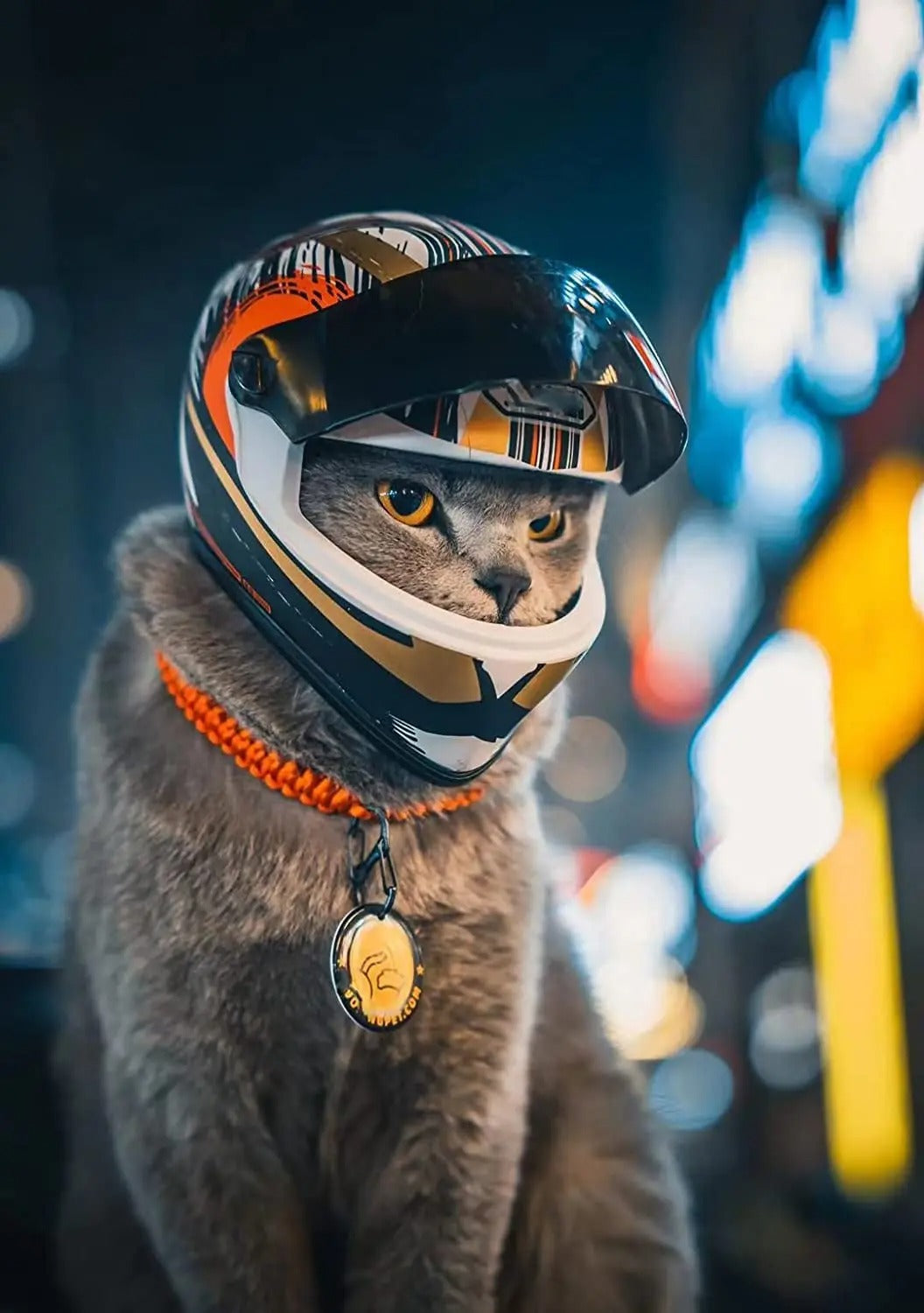 PetShield Motorradhelm für Haustiere | Sicherheit & Stil | Leicht & Robust | Für Hunde & Katzen