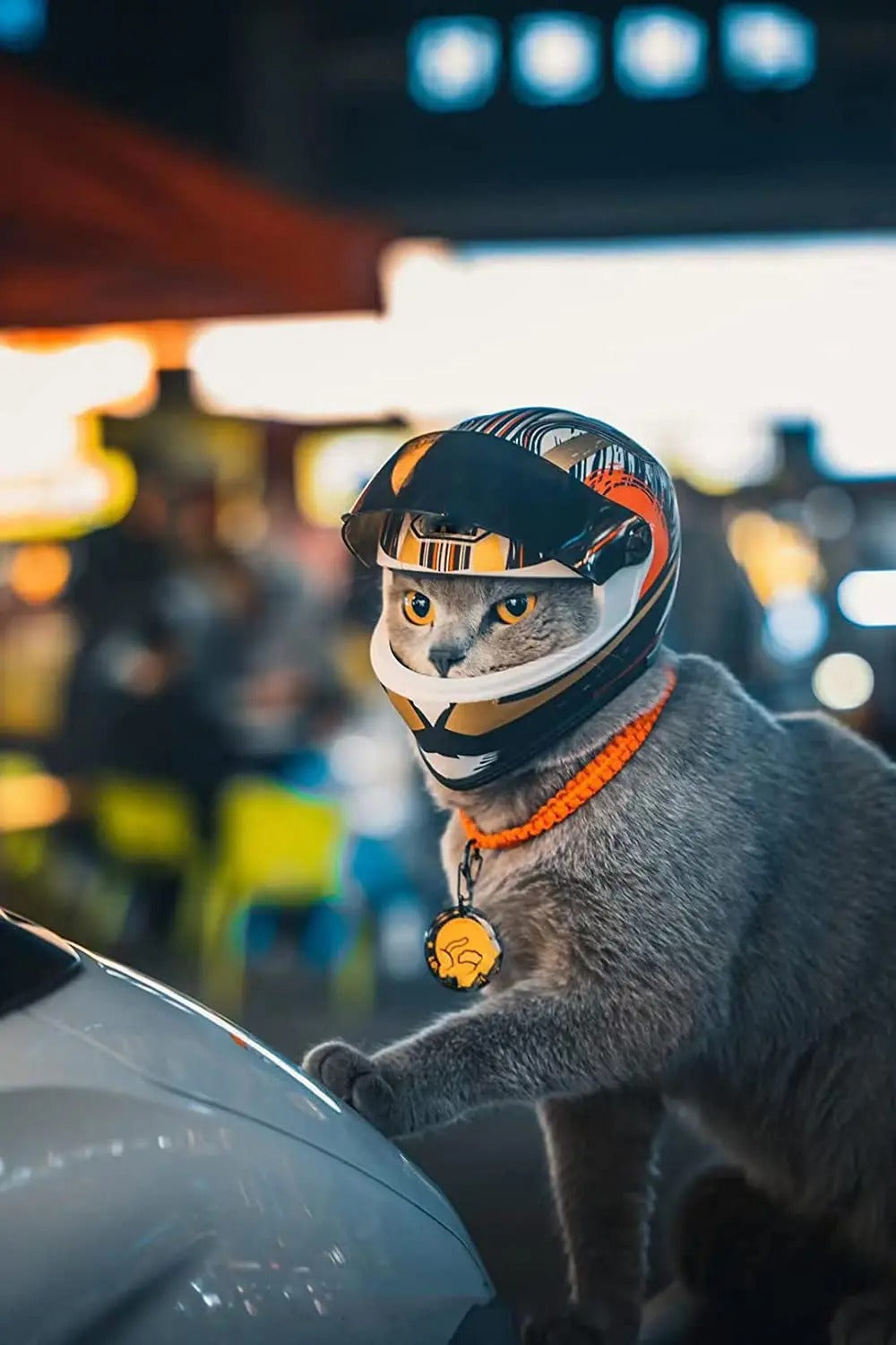PetShield Motorradhelm für Haustiere | Sicherheit & Stil | Leicht & Robust | Für Hunde & Katzen