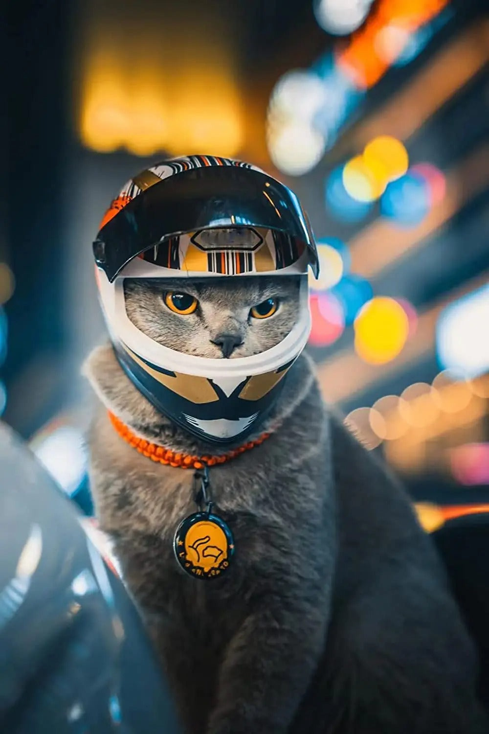 PetShield Motorradhelm für Haustiere | Sicherheit & Stil | Leicht & Robust | Für Hunde & Katzen