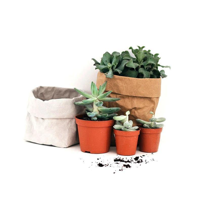 EcoBag Planter Tasche | Wasserdicht & Nachhaltig | Pflanzentasche aus Papier | Umweltfreundlich & Stilvoll