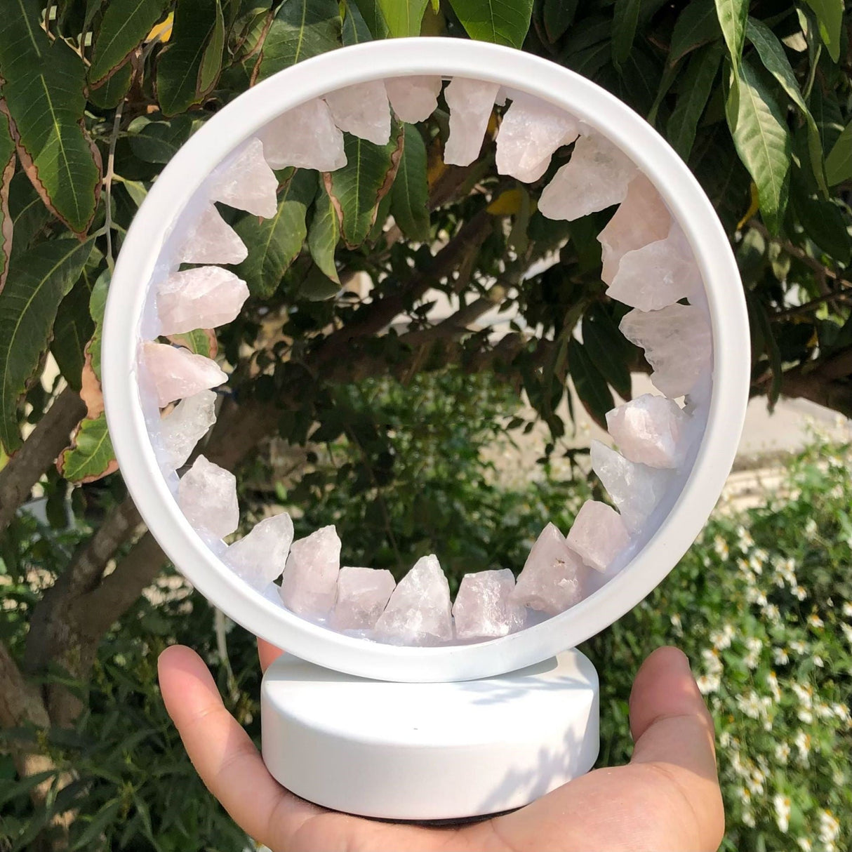 HerbGlo Kristall Nachtlicht | Natürliches LED Tischlicht | Heilkräuter & Stimmungsvolles Design