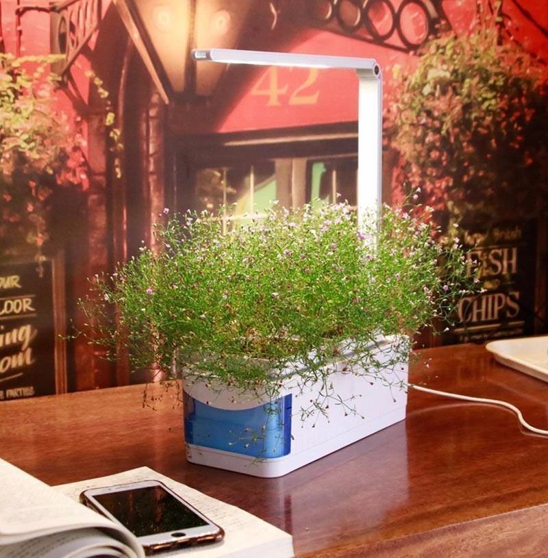 HerbGarden Hydroponisches LED-Kräuterbeet | Frische Kräuter das ganze Jahr über | Platzsparend | Einfache Bedienung