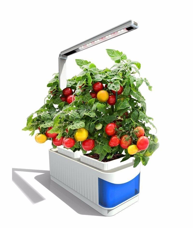 HerbGarden Hydroponisches LED-Kräuterbeet | Frische Kräuter das ganze Jahr über | Platzsparend | Einfache Bedienung