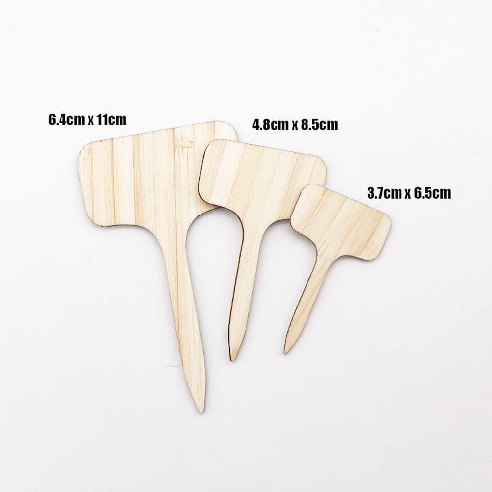 GreenLabel Holz Pflanzenschilder | Umweltfreundlich | Perfekt für Garten & Balkon | Markierungsschilder für Pflanzen