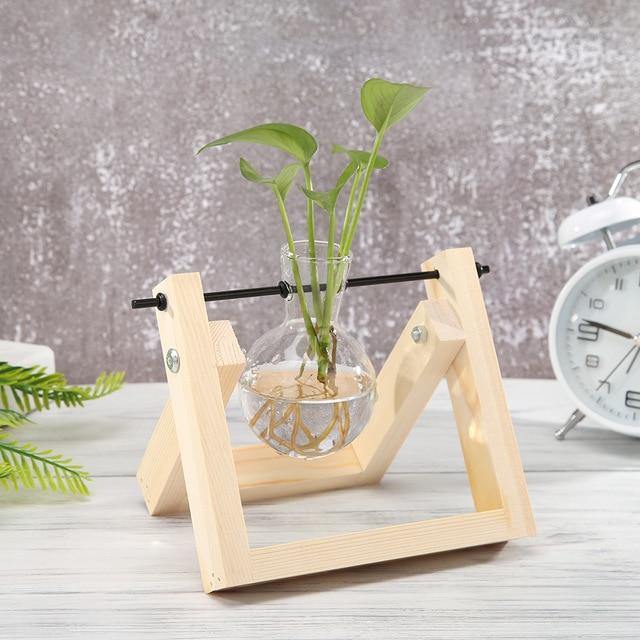 EcoGrow Glas Anzuchtvase mit Holzständer | Minimalistisches Design | Pflanzgefäß für Zuhause | Deko für Pflanzenliebhaber