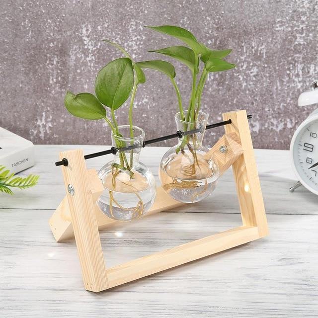 EcoGrow Glas Anzuchtvase mit Holzständer | Minimalistisches Design | Pflanzgefäß für Zuhause | Deko für Pflanzenliebhaber