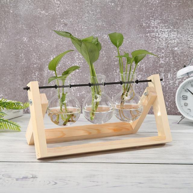 EcoGrow Glas Anzuchtvase mit Holzständer | Minimalistisches Design | Pflanzgefäß für Zuhause | Deko für Pflanzenliebhaber