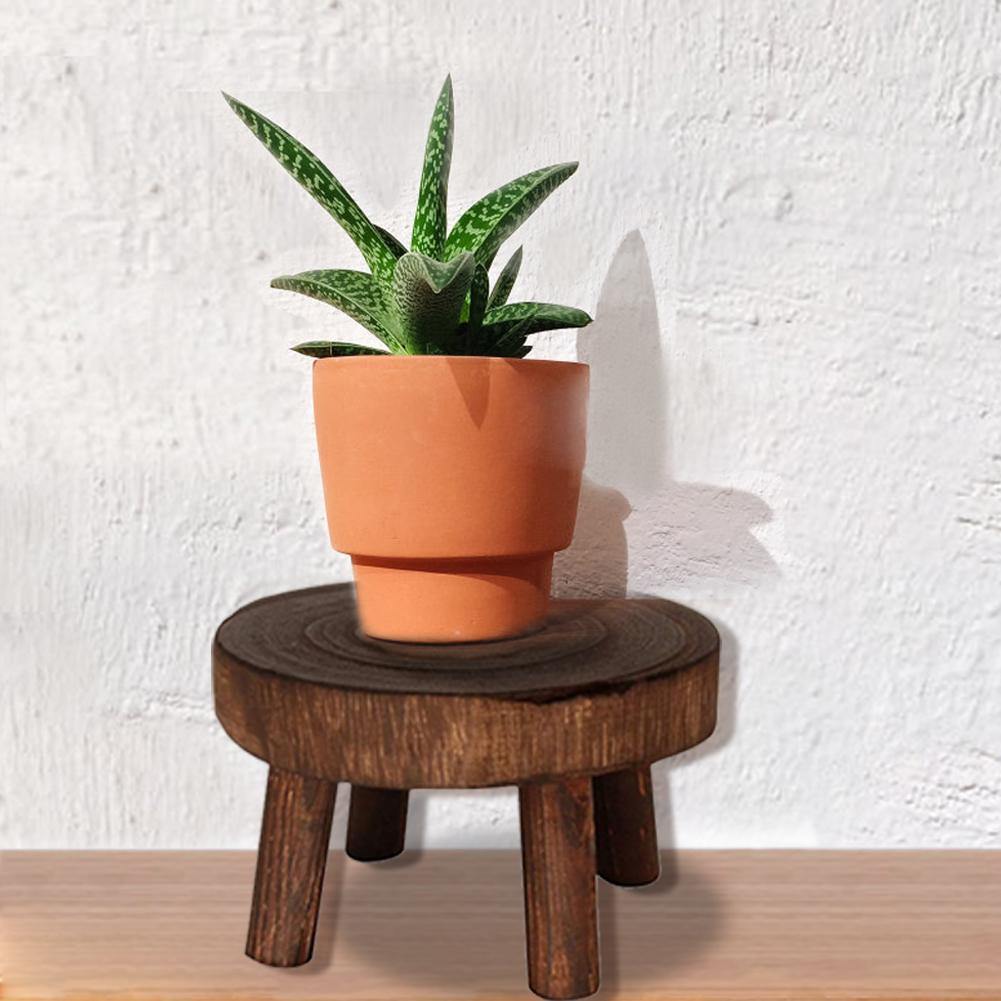 EcoPlanter Holz Pflanzenständer | Erhöhter Blumentopfhalter | Minimalistisches Design | Perfekt für Wohnzimmer
