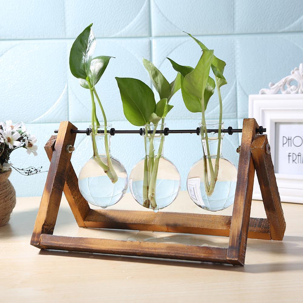 EcoGrow Glas Anzuchtvase mit Holzständer | Minimalistisches Design | Pflanzgefäß für Zuhause | Deko für Pflanzenliebhaber
