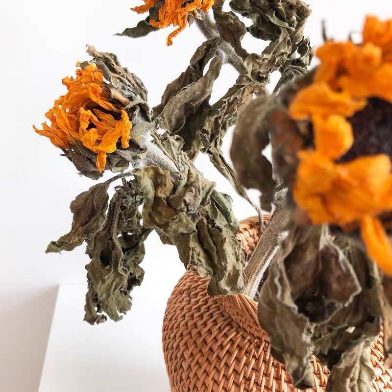 RattanCraft Handgefertigte Rattan-Vase | Natürliches Design | Boho-Stil | Perfekt für Dekoration und Blumenarrangements