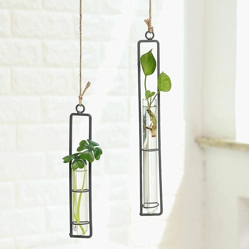 FloatTerrarium Hängendes Glas-Terrarium | Eisenhalterung | Modernes Design | Perfekt für Pflanzenvermehrung & Dekoration