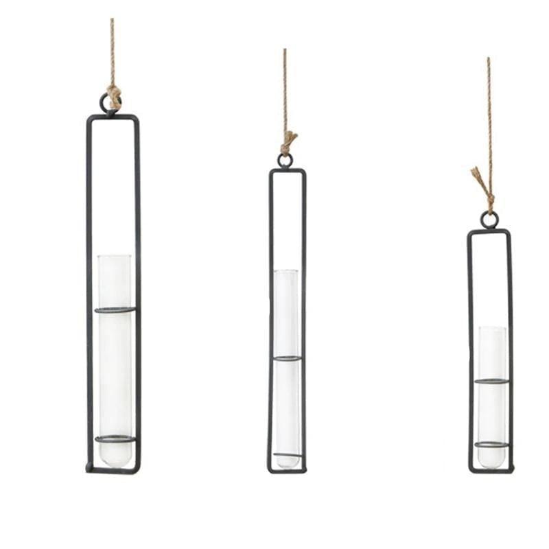 FloatTerrarium Hängendes Glas-Terrarium | Eisenhalterung | Modernes Design | Perfekt für Pflanzenvermehrung & Dekoration