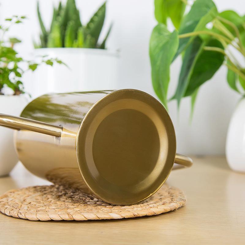 AquaElegance Edelstahl Gießkanne | Modernes Design | Pflanzenpflege | Dekoration für Zuhause