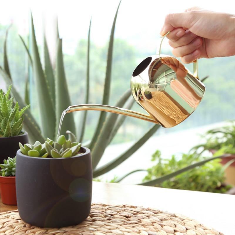 AquaGrace Edelstahl Gießkanne mit Flexiblem Hals | Modernes Design | Perfekte Bewässerung | Rostfrei