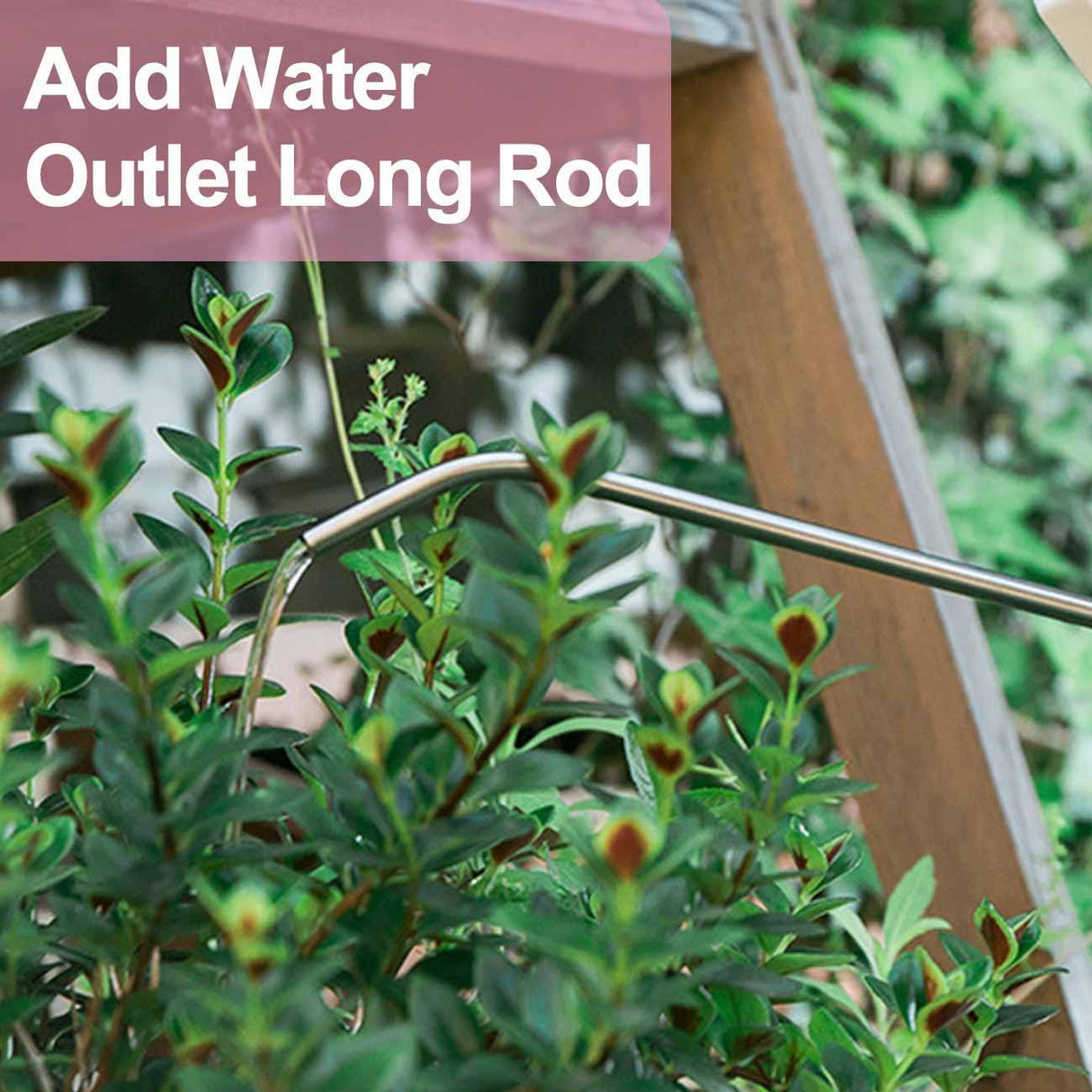 AquaForm Gießkanne mit Schwanenhals | Modernes geometrisches Design | Perfekte Pflanzenpflege