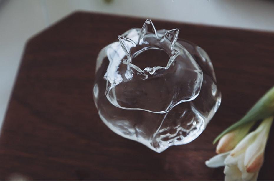 HydroPom Glas-Hydroponik Vase | Stilvolle Pflanzenvermehrung für Ihr Zuhause