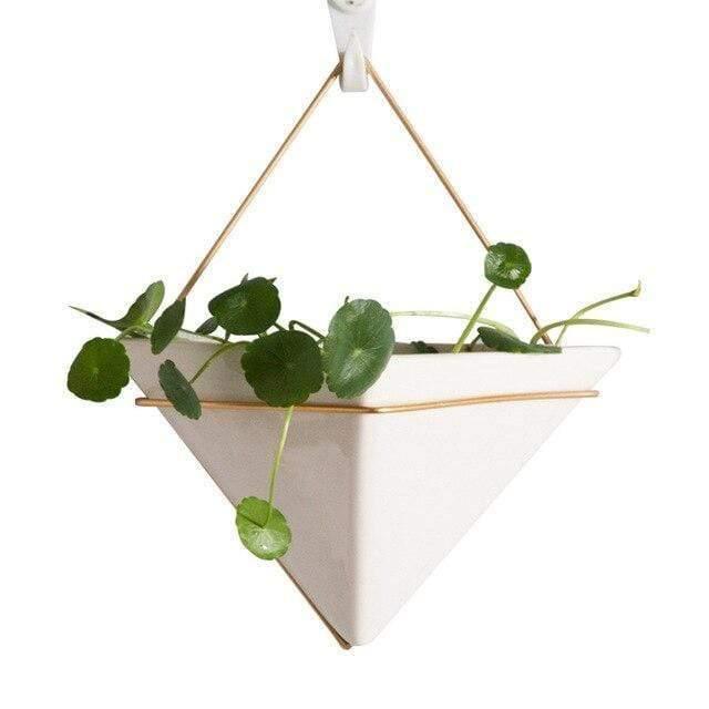 TerraHang Hängendes Geometrisches Terrarium | Stilvolle Pflanzen-Deko für Zuhause & Büro | In Dreieck & Hexagon Design